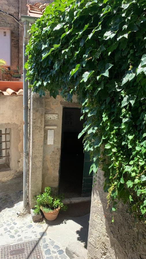 La Casa Sul Lago Anguillara Sabazia Exteriér fotografie